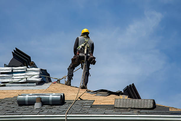 Professional Roof Replacement technician working in Edgewater, CO
